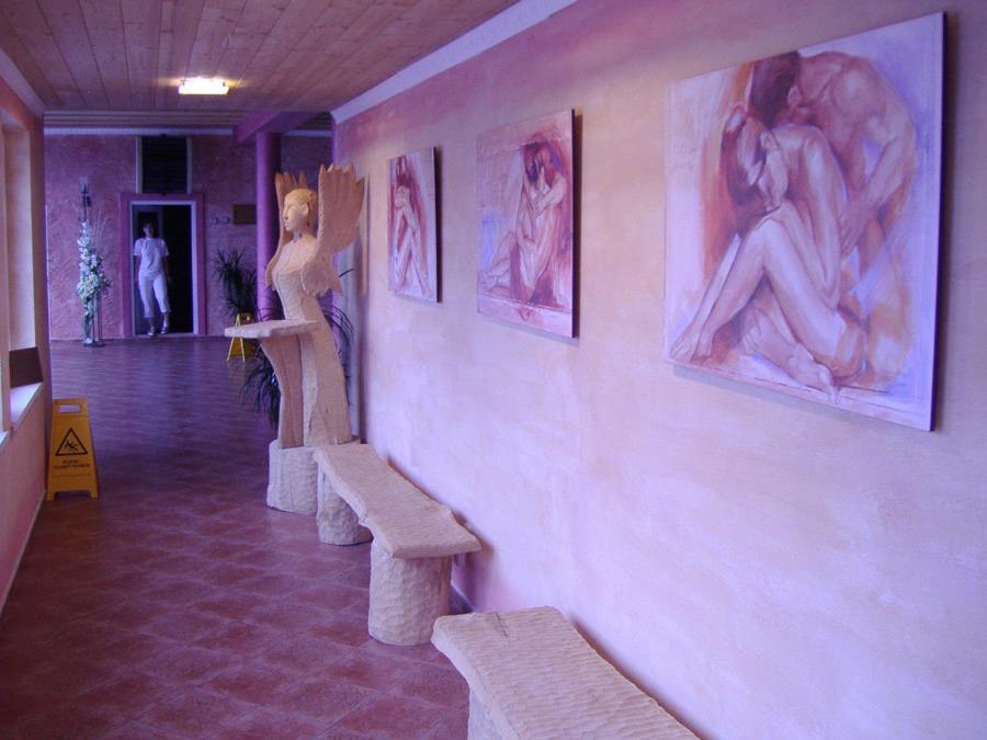 Wellness Hotel Bahenec Bagian luar foto